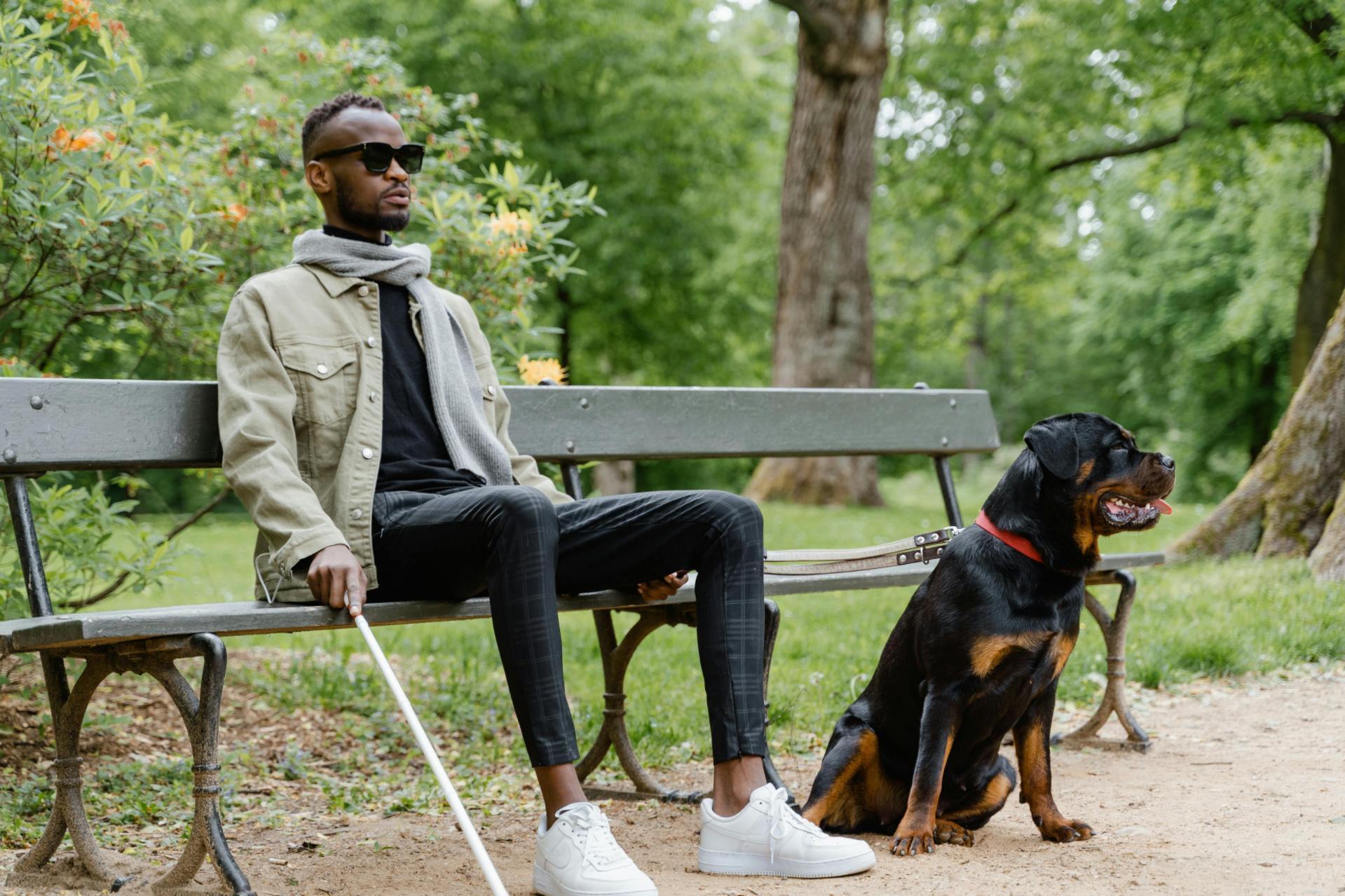 A man with his seeing eye dog. Seeing eye dogs are service animals.