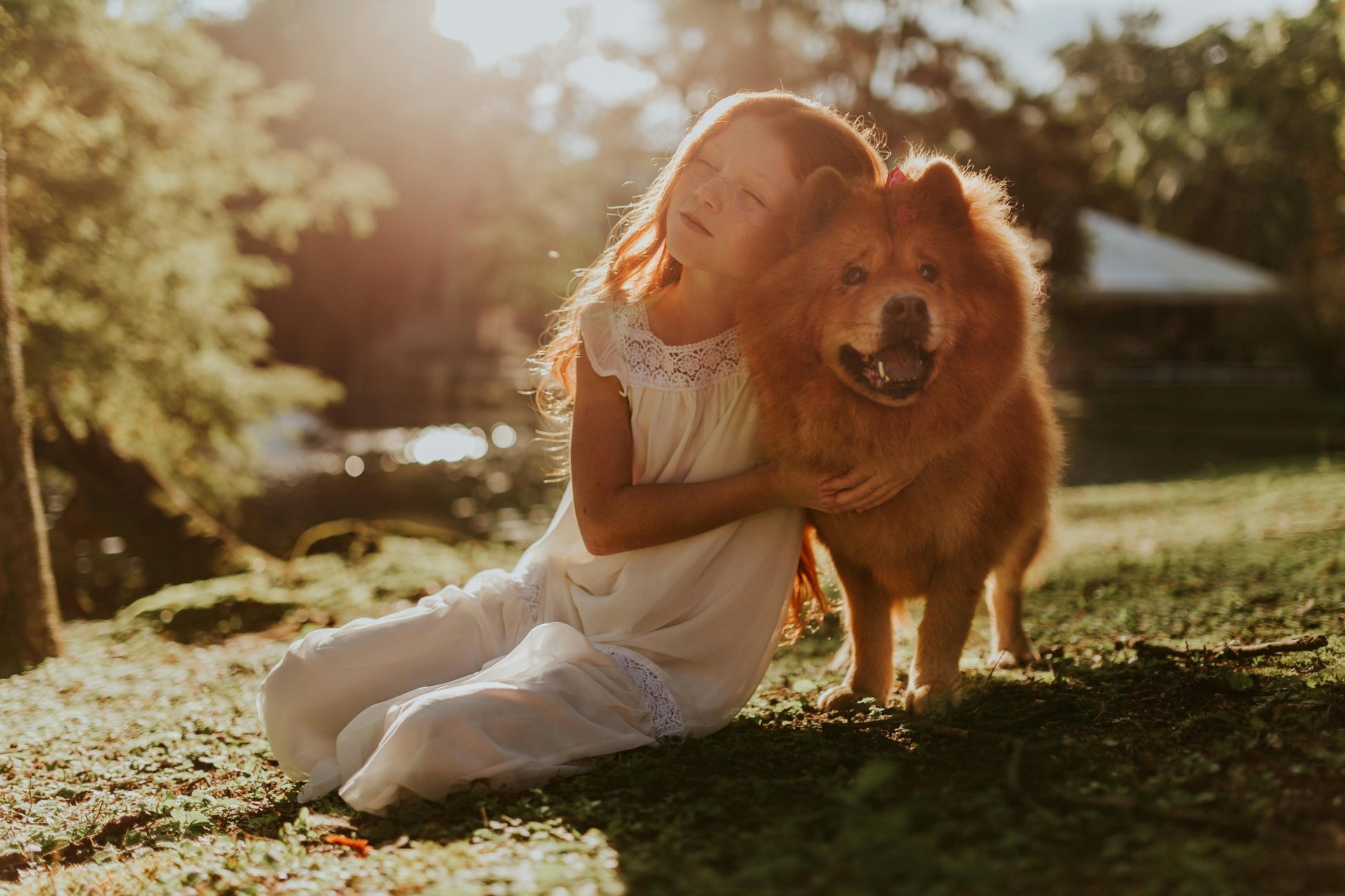 Losing a pet hurts because of the soul contracts we have with them