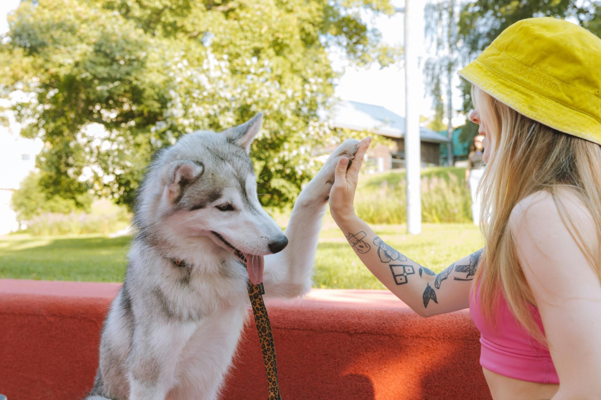 Woman creating a memorable dog bucket list with her best pal