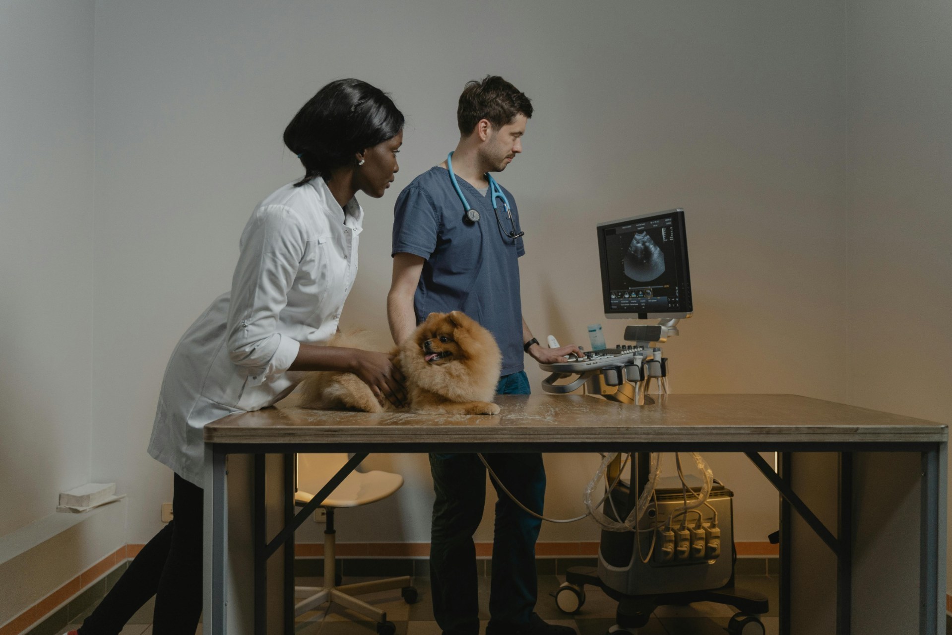 Spaying and neutering your pet is beneficial. This pet owner knows that and is setting the pet up for success.