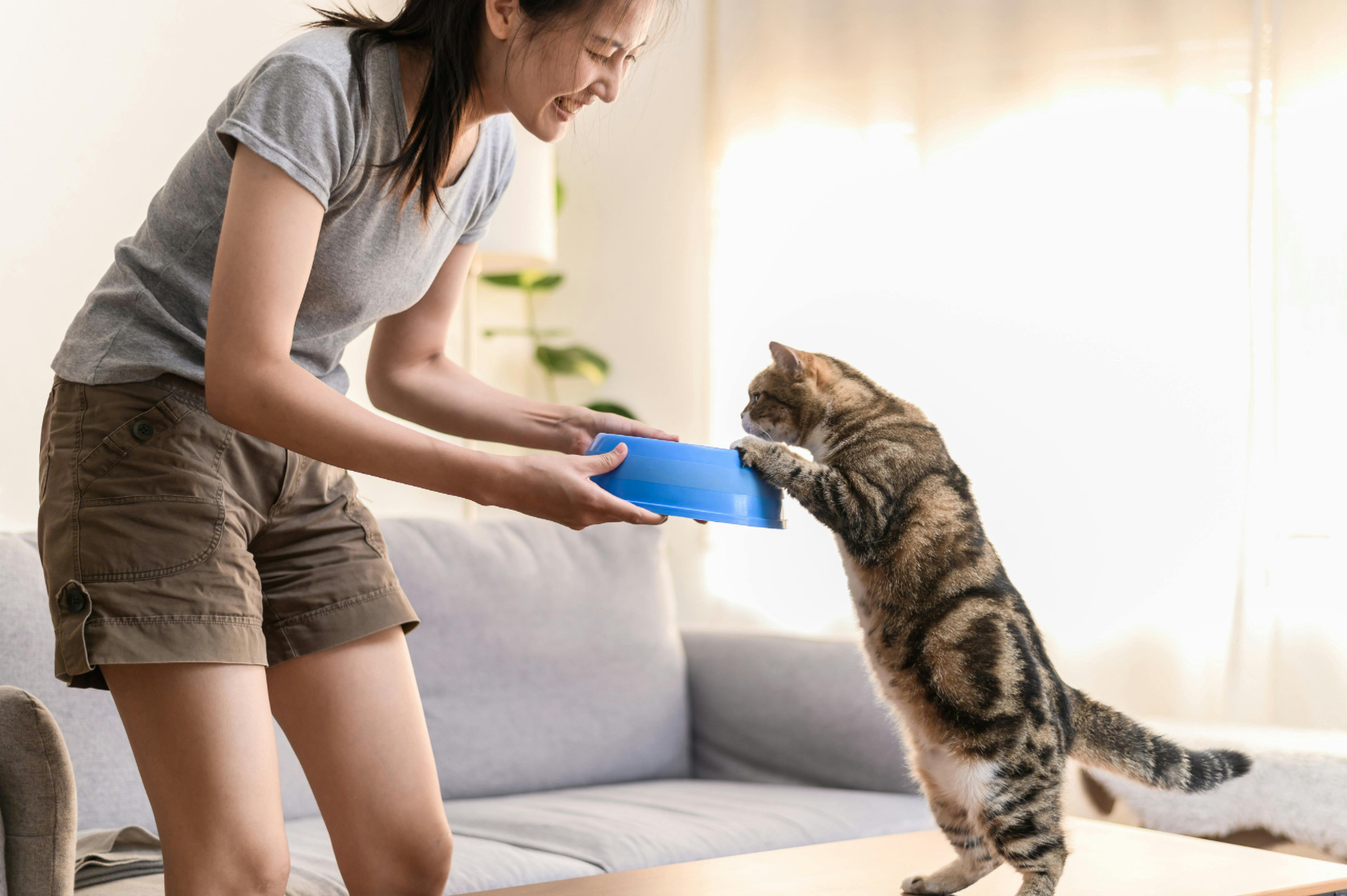 This feline is picky about her cat food